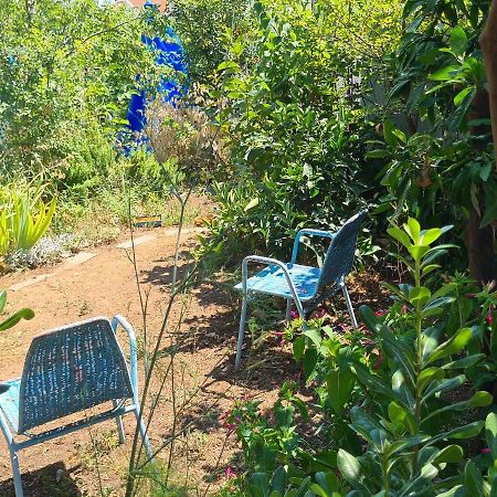 Studio Apartment Garden Dubrovnik Eksteriør bilde