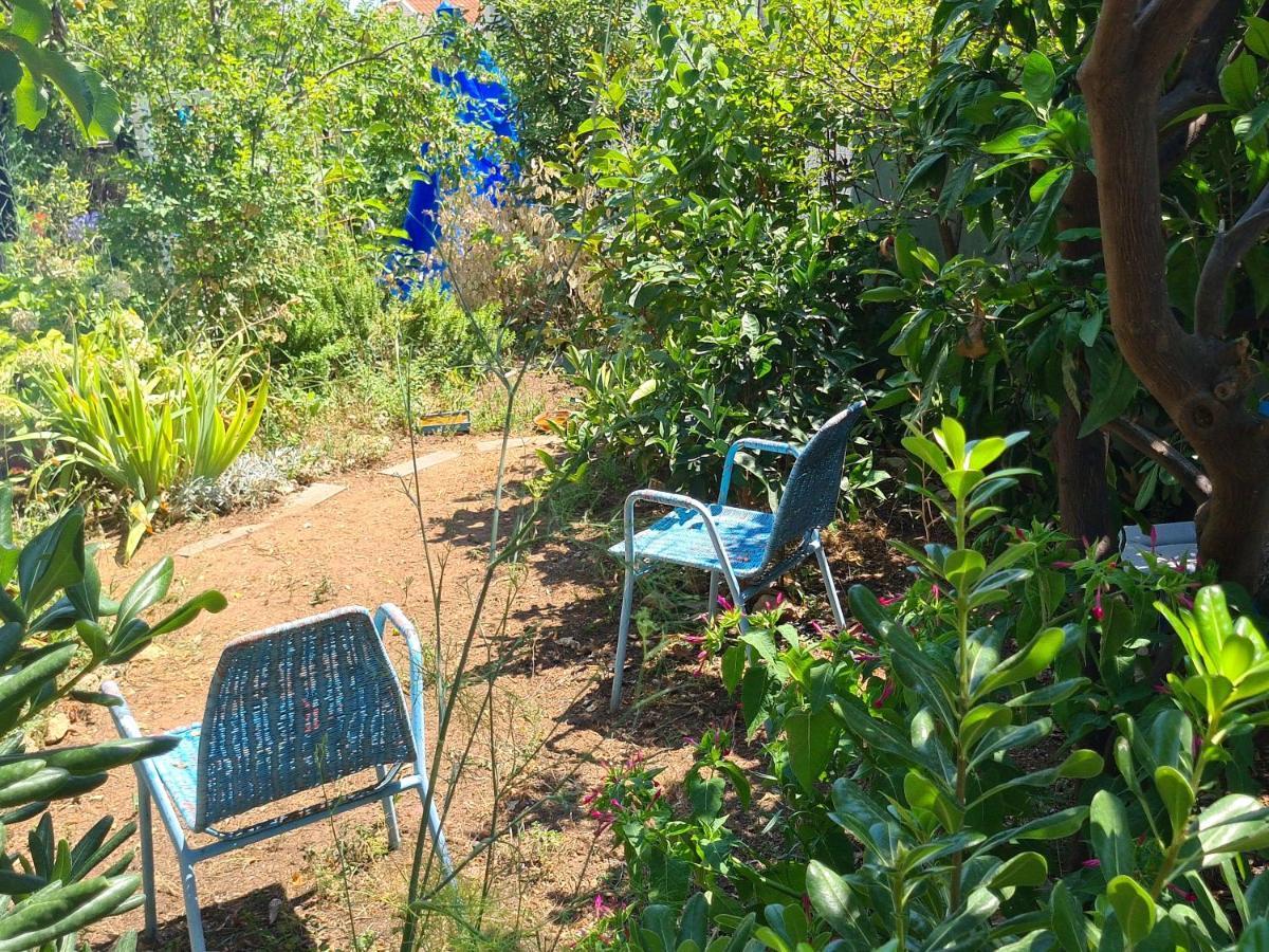 Studio Apartment Garden Dubrovnik Eksteriør bilde