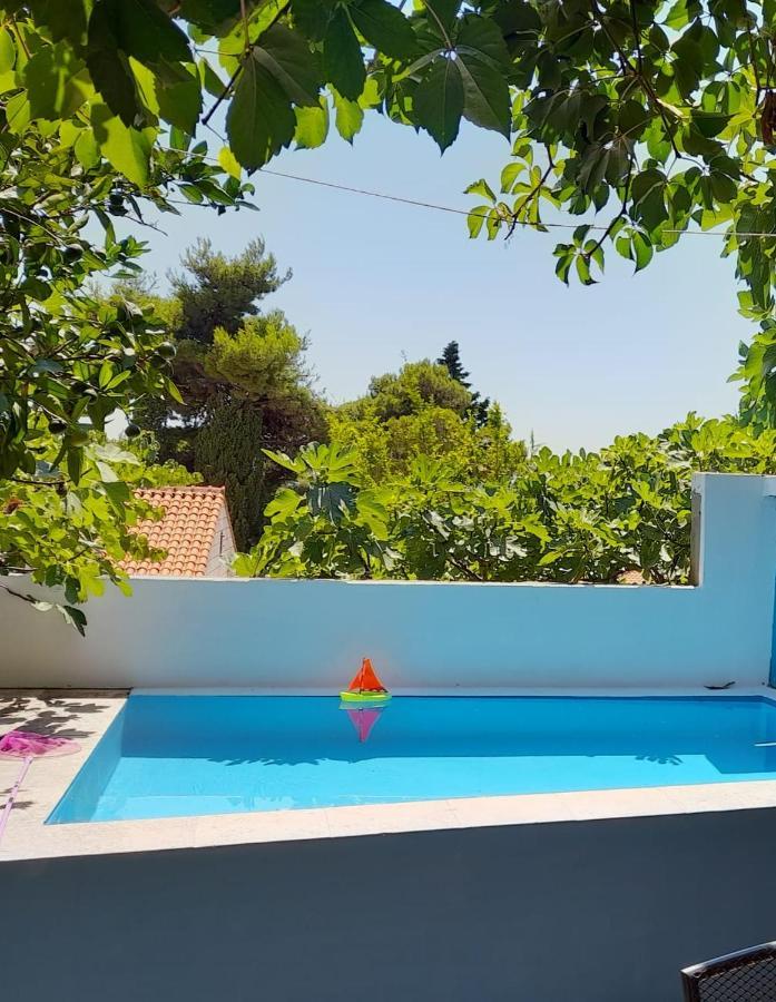 Studio Apartment Garden Dubrovnik Eksteriør bilde